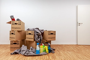 Domestic Removals